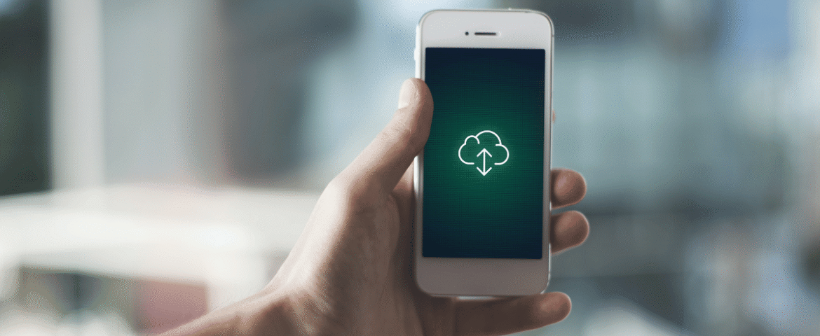 best whatsapp api