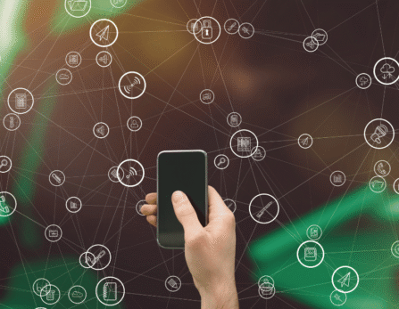 Bulk WhatsApp messaging
